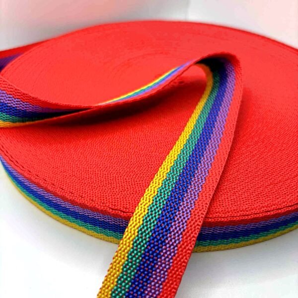 Įvairiaspalvė diržinė juosta, 2,5cm pločio