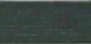 6907
